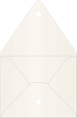 Pearlized Latte Metallic Velcro Envelopes (9 x 11 1/2) - 5/Pk