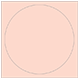 Ginger Imprintable Circle Card 4 3/4 Inch - 25/Pk