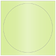 Sour Apple Imprintable Circle Card 4 3/4 Inch - 25/Pk