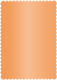 Mandarin Scallop Card 4 1/4 x 5 1/2 - 25/Pk