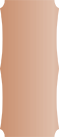 Copper Deco Card 4 x 9 1/4