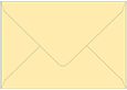 Sunflower Booklet Envelope 6 x 9 - 25/Pk