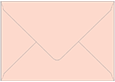 Ginger Booklet Envelope 6 x 9 - 25/Pk