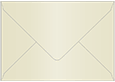 Champagne Booklet Envelope 6 x 9 - 25/Pk