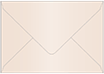 Nude Booklet Envelope 6 x 9 - 50/Pk