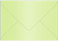 Sour Apple Booklet Envelope 6 x 9 - 25/Pk