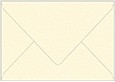 Butter Arturo Booklet Envelope 6 x 9 - 25/Pk