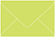 Citrus Green Business Card Envelope 2 1/8 x 3 5/8 - 25/Pk