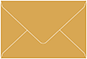 Serengeti Mini Envelope 2 1/2 x 4 1/4 - 50/Pk