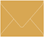 Serengeti Gift Card Envelope 2 5/8 x 3 5/8 - 25/Pk