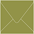 Olive Square Envelope 4 1/4 x 4 1/4 - 25/Pk