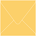 Bumble Bee Square Envelope 5 x 5 - 50/Pk