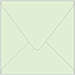 Green Tea Square Envelope 5 x 5 - 50/Pk