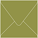 Olive Square Envelope 5 x 5 - 50/Pk