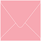Coral Square Envelope 5 1/2 x 5 1/2 - 25/Pk