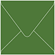 Verde Square Envelope 5 1/2 x 5 1/2 - 25/Pk