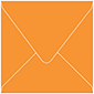 Lava Square Envelope 6 x 6 - 25/Pk