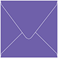 Amethyst Square Envelope 6 x 6 - 25/Pk