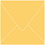 Bumble Bee Square Envelope 6 1/2 X 6 1/2 - 50/Pk