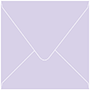 Purple Lace Square Envelope 6 1/2 X 6 1/2 - 50/Pk