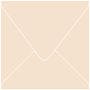 Latte Square Envelope 6 1/2 X 6 1/2 - 50/Pk
