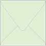Green Tea Square Envelope 6 1/2 X 6 1/2 - 50/Pk