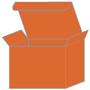 Papaya Favor Box Style M (10 per pack)