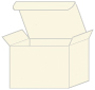 Milkweed Favor Box Style M (10 per pack)