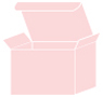 Pink Feather Favor Box Style M (10 per pack)