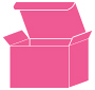 Raspberry Favor Box Style M (10 per pack)