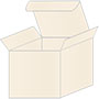 Pearlized Latte Favor Box Style M (10 per pack)