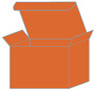 Papaya Favor Box Style S (10 per pack)