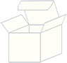 Pearlized White Favor Box Style S (10 per pack)