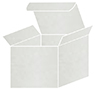 Lustre Favor Box Style S (10 per pack)