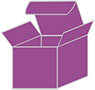 Plum Punch Favor Box Style S (10 per pack)
