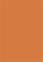 Papaya Flat Card 3 1/4 x 4 3/4