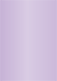 Violet Flat Card 3 1/4 x 4 3/4