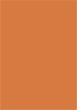Papaya Flat Card 4 1/2 x 6 1/2