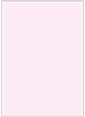 Pink Feather Flat Card 5 1/4 x 7 1/4
