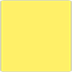 Factory Yellow Round Corner Flat Card 5 3/4 x 5 3/4