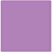 Grape Jelly Round Corner Flat Card 5 3/4 x 5 3/4