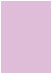 Purple Lace Flat Paper 4 7/8 x 6 7/8 - 50/Pk