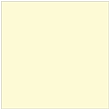 Sugared Lemon Square Flat Paper 6 1/2 x 6 1/2 - 50/Pk