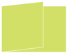 Citrus Green Fold Away Invitation 5 x 7 - 25/Pk