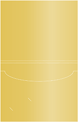 Gold Capacity Folders Style A (8 3/4 x 11 1/4) 10/Pk