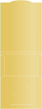 Gold Capacity Folders Style B (12 1/4 x 9 1/4) 10/Pk