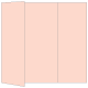 Ginger Gate Fold Invitation Style A (5 x 7) - 10/Pk