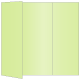 Sour Apple Gate Fold Invitation Style A (5 x 7) - 10/Pk