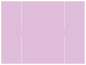 Purple Lace Gate Fold Invitation Style B (5 1/4 x 7 3/4) - 10/Pk