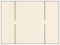 Pearlized Latte Gate Fold Invitation Style B (5 1/4 x 7 3/4) - 10/Pk
